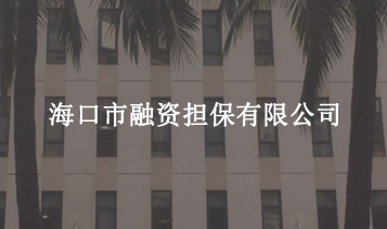 ?？谑腥谫Y擔(dān)保有限公司