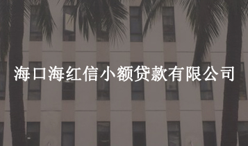 ?？诤＜t信小額貸款有限公司